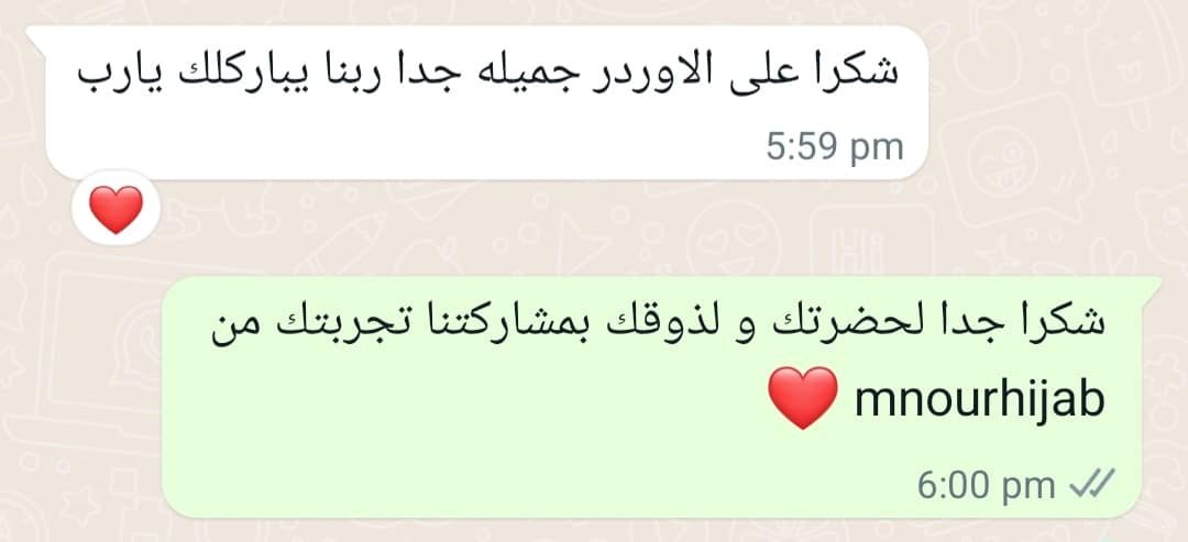 Mnourhijab (8)